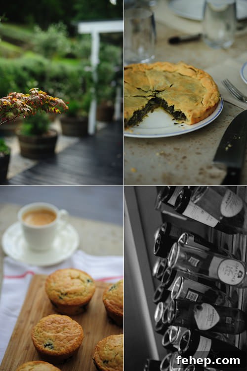 Redleaf: Charming South Coast Getaway Guide 7 img 225 6