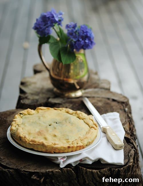 Redleaf: Charming South Coast Getaway Guide 8 img 225 7