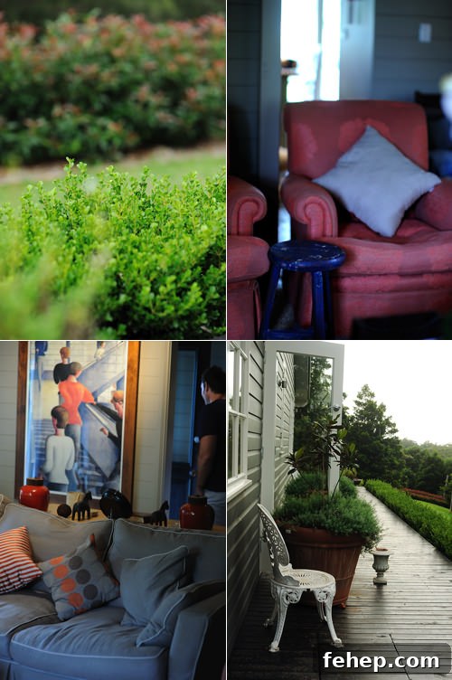 Redleaf: Charming South Coast Getaway Guide 10 img 225 9