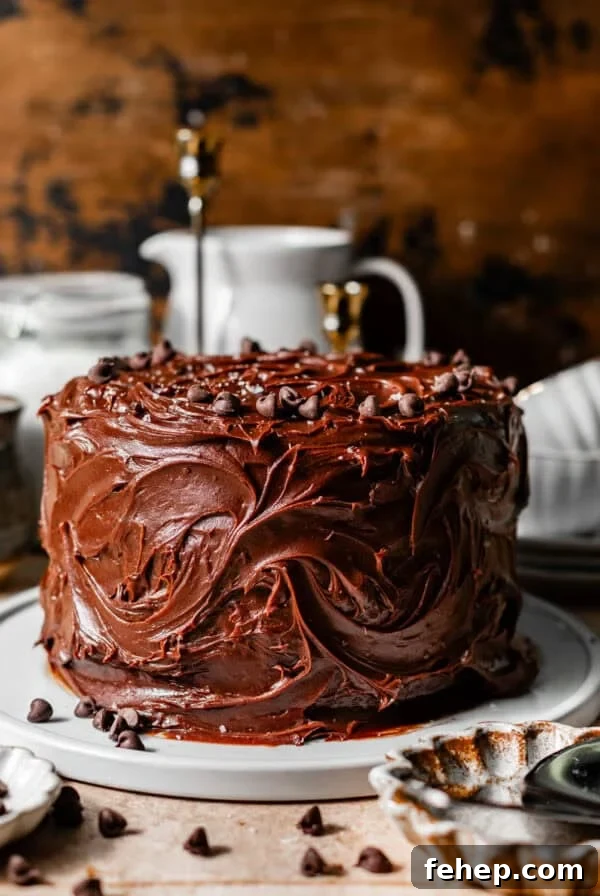 matilda chocolate cake on a white cake plate with chocolate chips and flake sea salt on top.