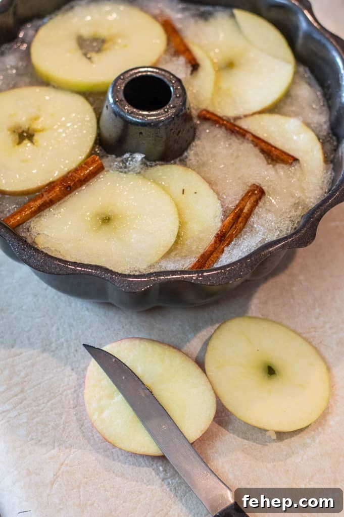 Apple rings and cinnamon sticks in a jello mold 