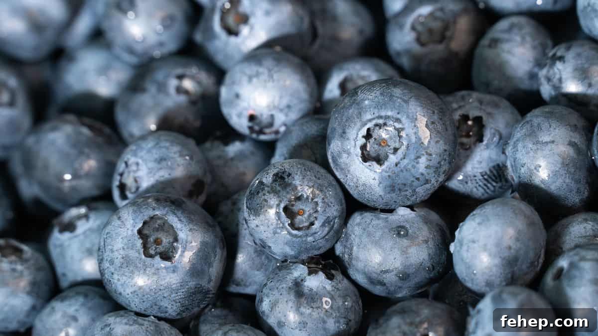 15 Refreshing Ina Garten Summer Recipes to Try Now 15 blueberries