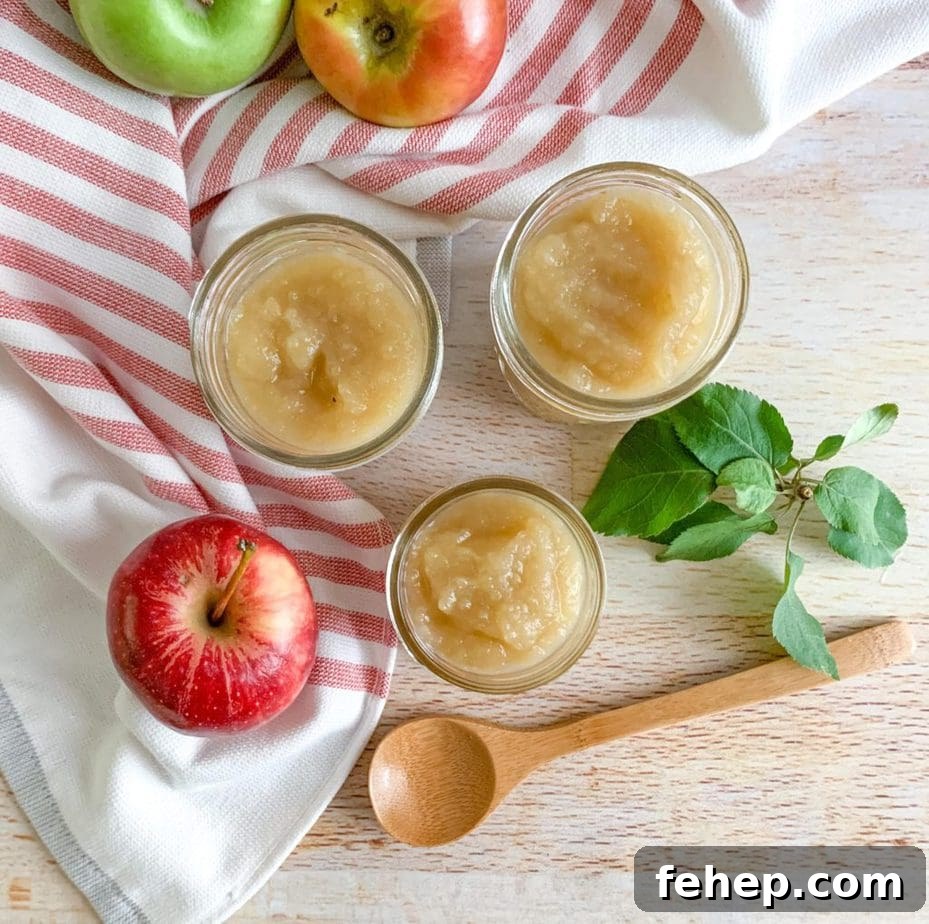 Homemade Unsweetened Applesauce Recipe — Simple & Natural 2 How to make applesauce from scratch with no sugar added