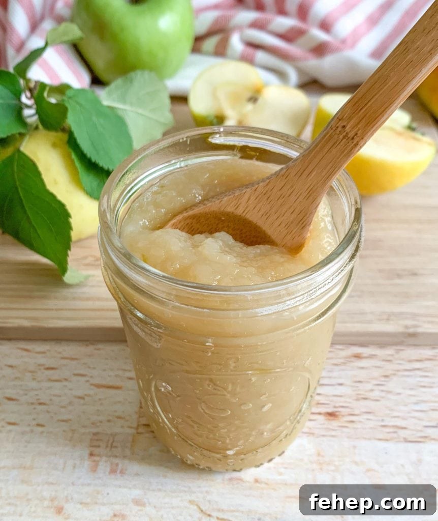Homemade Unsweetened Applesauce Recipe — Simple & Natural 3 A jar of applesauce with a wooden spoon sticking out the top.