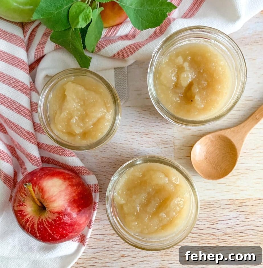 Homemade Unsweetened Applesauce Recipe — Simple & Natural 8 A top down view of three jars of applesauce. A wooden spoon and apples decorate around the jar.