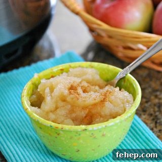 Instant Pot Applesauce: Quick Homemade Recipe in 20 Minutes 8 Instant Pot Applesauce