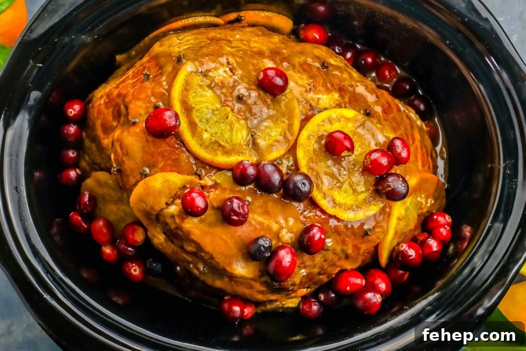 cooked ham in a slow cooker with orange slices and cranberries on it