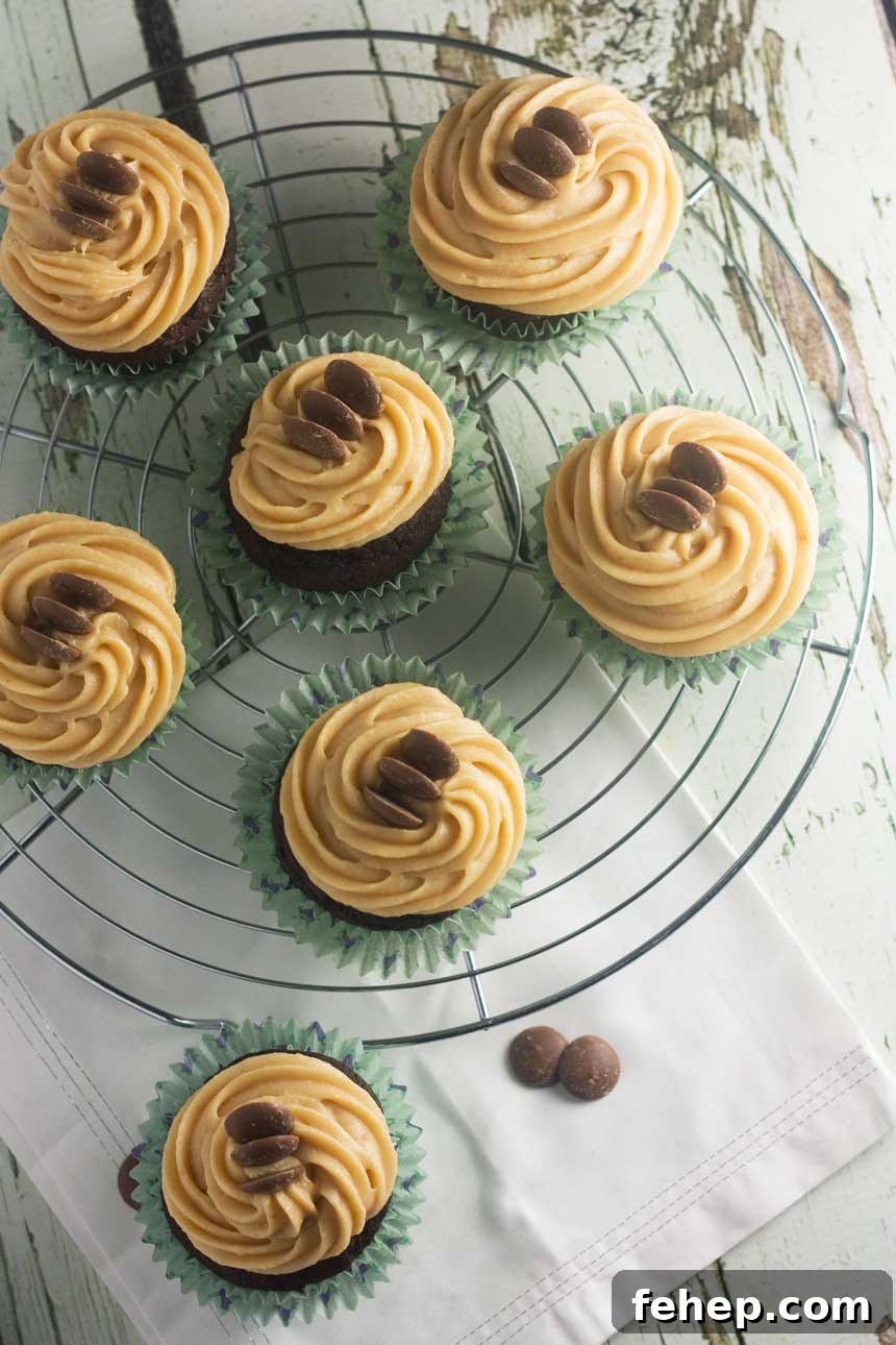 Chocolate stout cupcakes with peanut butter frosting on a cooling rack from above.