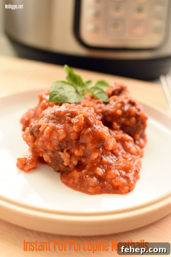 instant pot pressure cooker porcupine meatballs