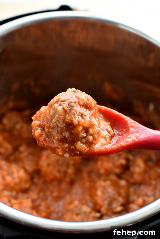 porcupine meatballs in the instant pot