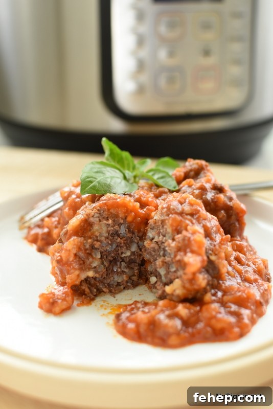 pressure cooker porcupine meatballs