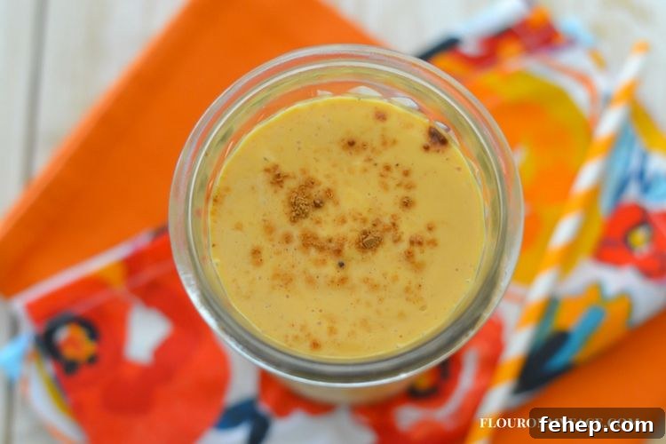 Creamy Pumpkin Smoothie — Autumn Spice Recipe for Fall Mornings 5 Pumpkin Smoothie recipe using the Raw Spice Bar UnPumpkin Pie Spice via flouronmyface.com