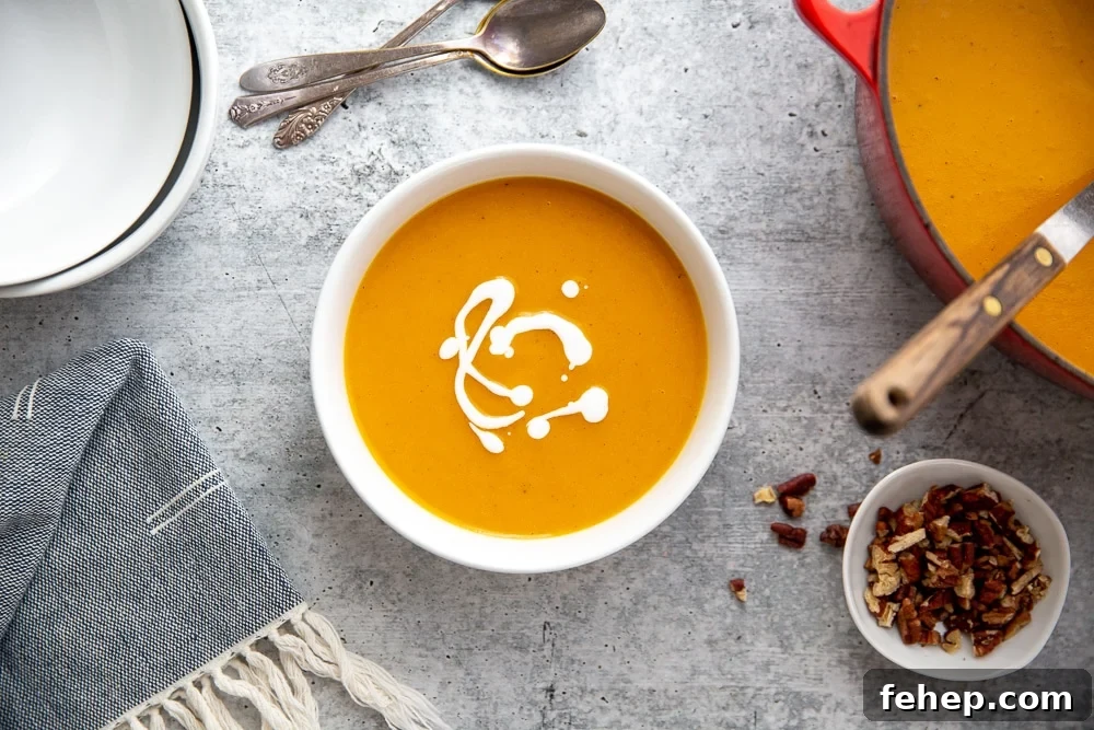 Overhead shot of a bowl of soup with chopped nuts and the soup pot alongside.