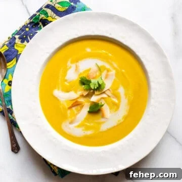 Vegan curried butternut squash soup in a bowl.