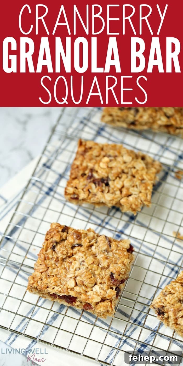 Cranberry Granola Bar Squares are a nutritious, moist, chewy granola bar square filled with oats, crispy rice, and dried cranberries. This is an easy, delicious, gluten-free and dairy-free snack recipe kids love!