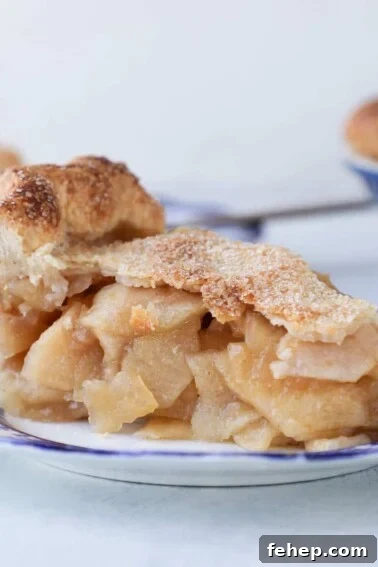 Mini Apple Hand Pies: Flaky Pocket Pies with Cinnamon Filling 15 Mile High Apple Pie slice on blue plate.