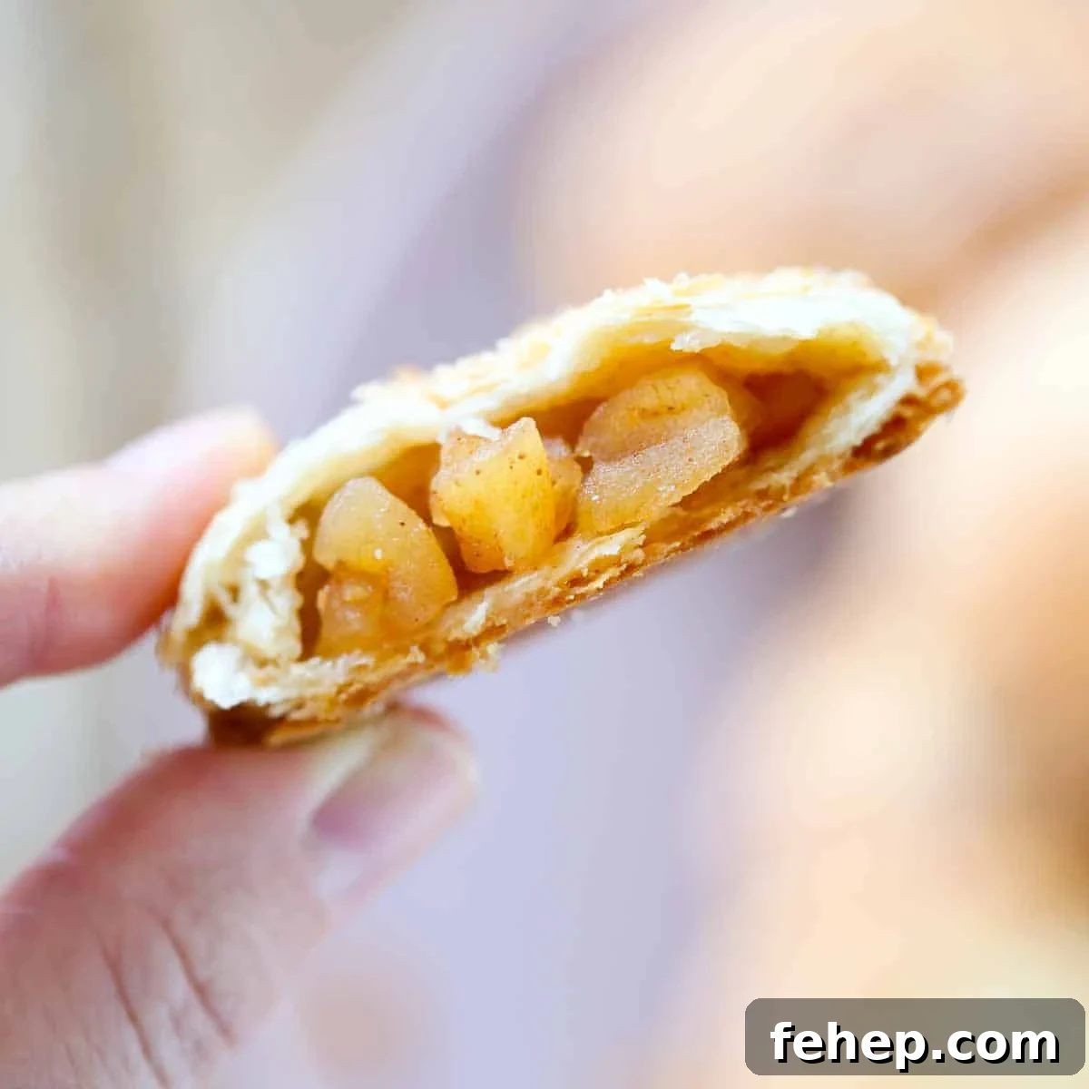Mini Apple Hand Pies: Flaky Pocket Pies with Cinnamon Filling 3 half hand pie in hand.
