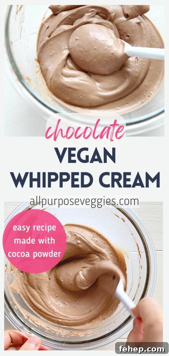 Vegan Chocolate Whipped Cream (Dairy-Free Chantilly) 8 pin image - Homemade Vegan Chocolate Whipped Cream (Dairy-Free Chantilly Cream)