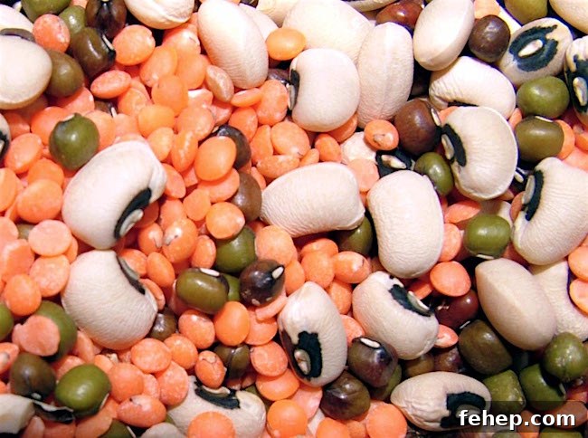 garden seeds