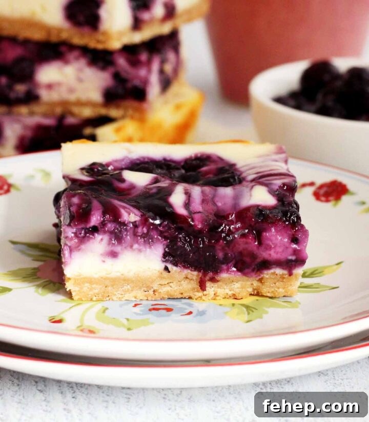 White Chocolate Blueberry Cheesecake Bars Recipe 5 blueberry cheesecake bars