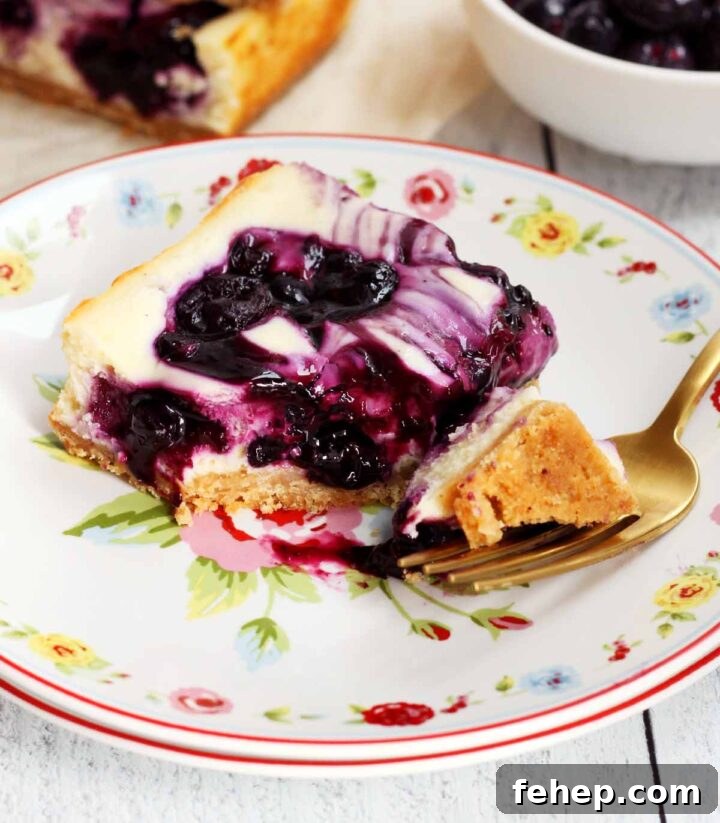 White Chocolate Blueberry Cheesecake Bars Recipe 6 blueberry cheesecake bars