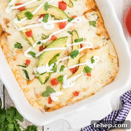Closeup of finished chicken enchiladas in a baking dish.