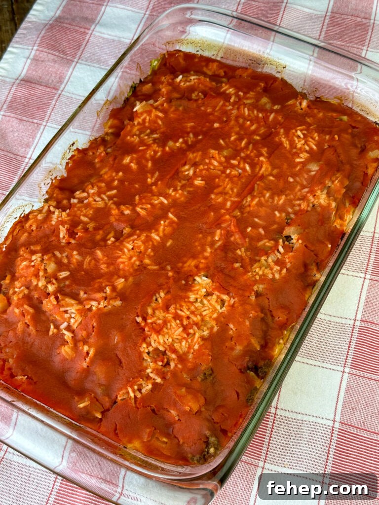Baked hamburger and cabbage casserole covered in tomato sauce sitting on a red and white napkin.