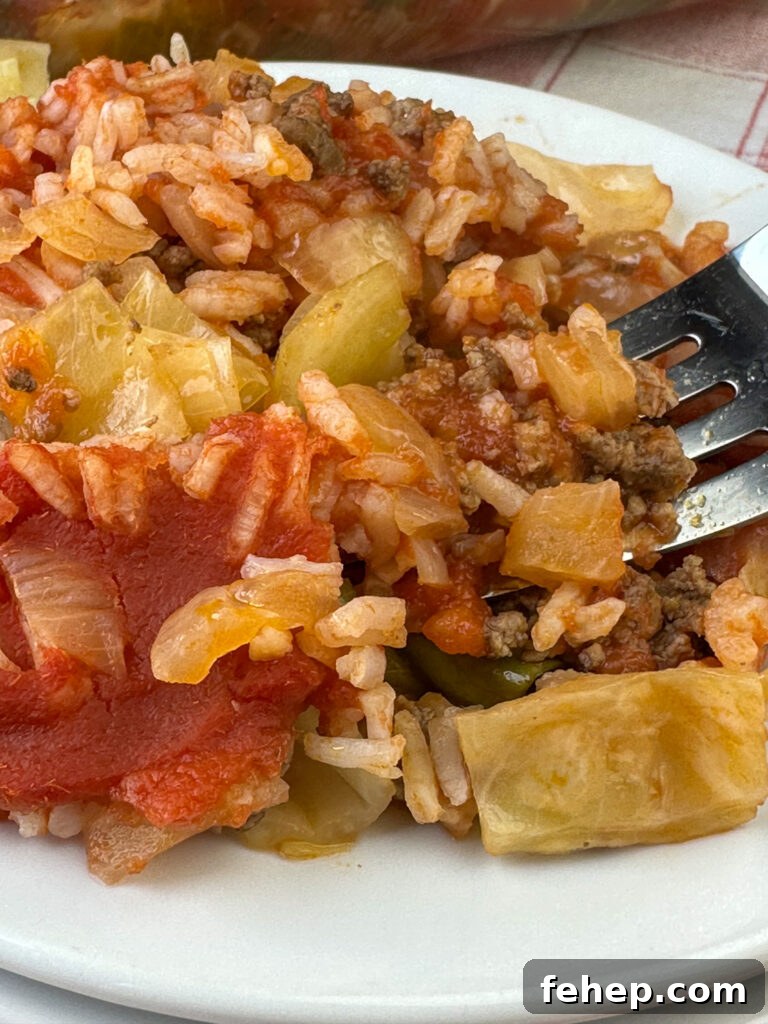 Close up fork in a bite of ground beef with chopped onion, chopped cabbage, cooked rice and coated with tomato sauce.