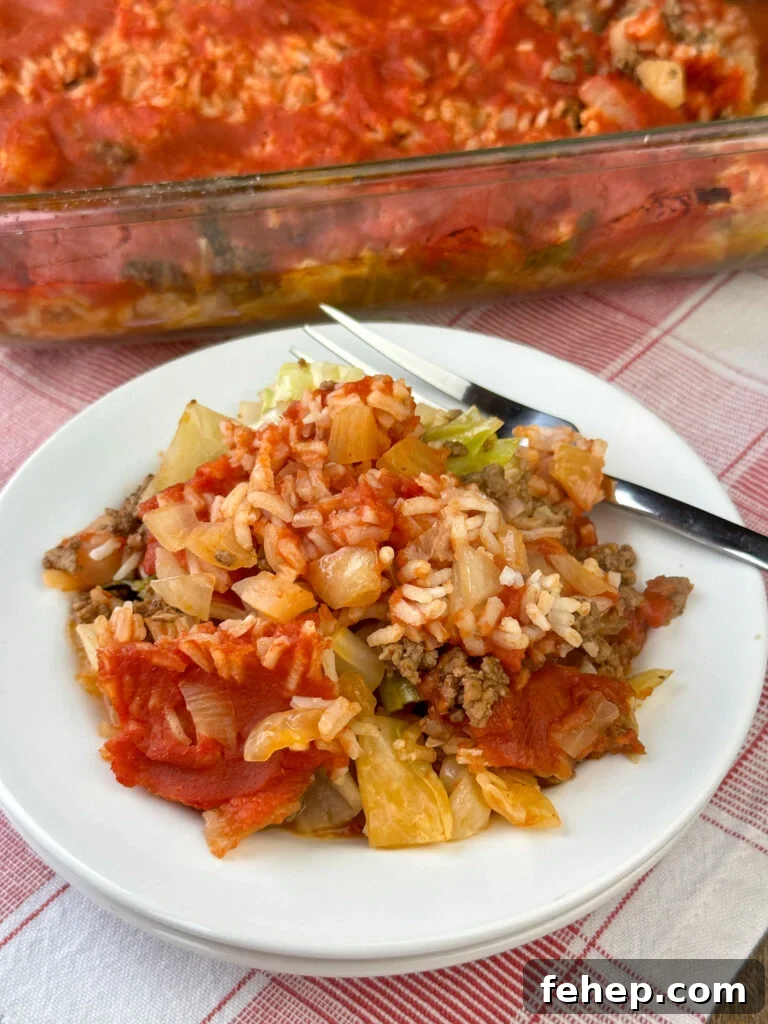 Serving of crumbled ground beef, softened cabbage and tender rice surround by red tomato sauce and flavored with chopped onions makes a delicious hamburger and cabbage casserole on a white plate with a fork and the full dish in the background.