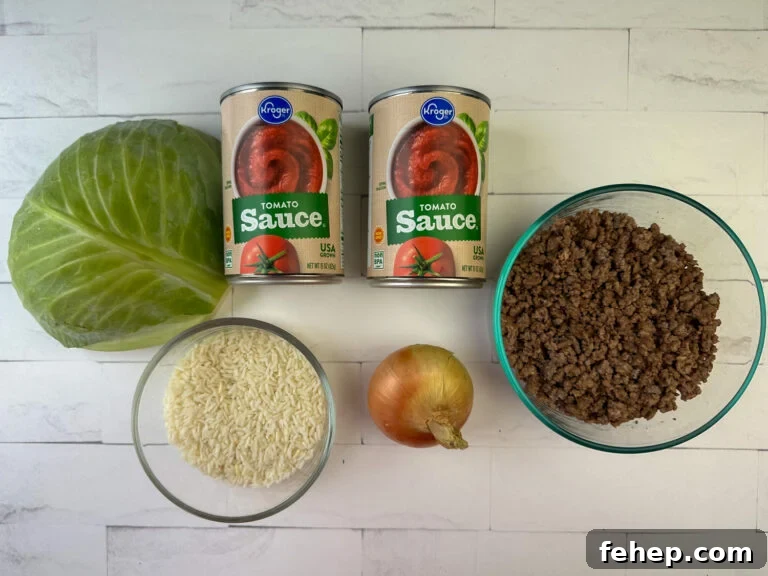 Ingredients needed to make cabbage and ground beef casserole are half a head of cabbage, two cans of tomato sauce, crumbled hamburger, an onion and minute rice on a white counter top.