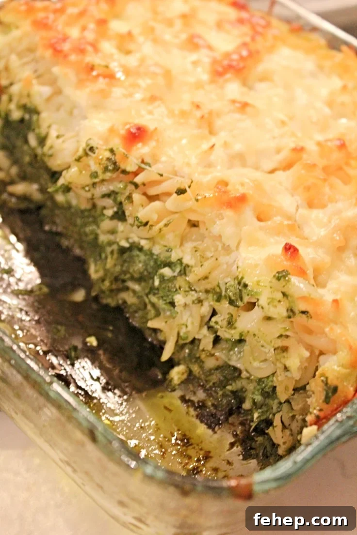 Spinach pasta recipe