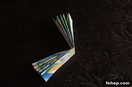 3D Paper Snowflakes: Simple Step-by-Step Folding Tutorial 6 paper folded into accordion