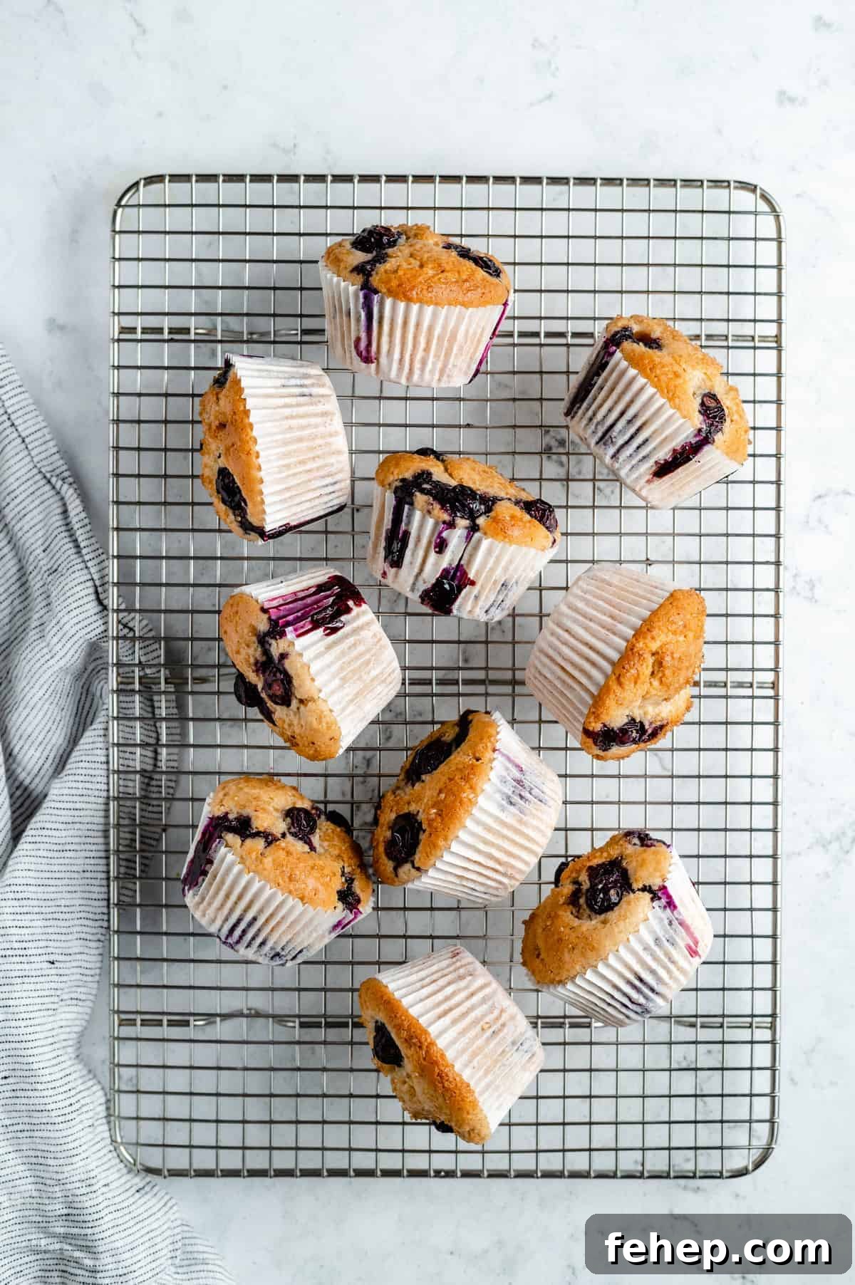 Vegan Blueberry Muffins Recipe for Moist, Fluffy Results 10 Blueberry muffins on a cooling rack.
