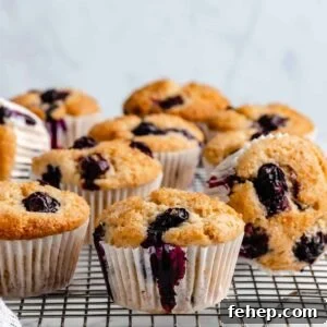 Vegan Blueberry Muffins Recipe for Moist, Fluffy Results 13 Blueberry muffins in wrappers.