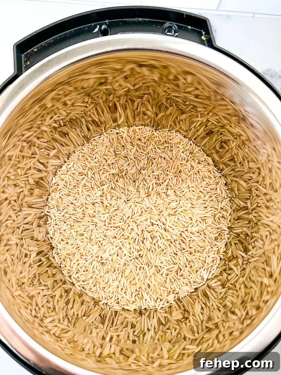 Perfectly Fluffy Brown Basmati Rice in the Instant Pot 4 Uncooked brown basmati rice poured into a pressure cooker.