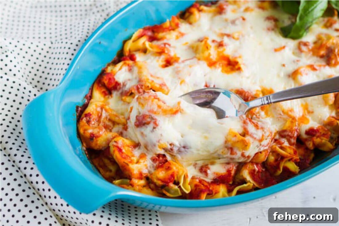 Creamy Baked Tortellini Casserole with Mozzarella and Spinach 5 Super simple but tasty Baked Tortellini - if your family likes pasta, they will love this ooey gooey main dish! via www.thirtyhandmadedays.com