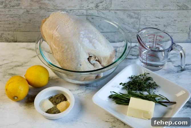Slow-Cooked Lemon Herb Turkey Breast with Savory Gravy 3 Ingredients for turkey breast