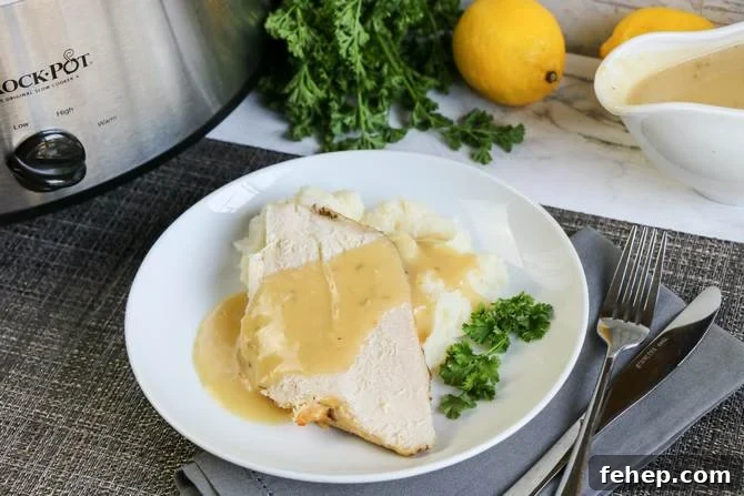 Slow-Cooked Lemon Herb Turkey Breast with Savory Gravy 9 Plate with turkey