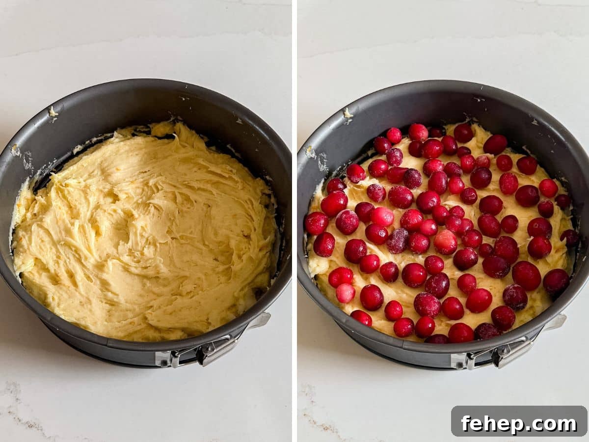 Moist Orange Cranberry Cake Recipe with Zesty Glaze 7 Cake batter spread in a pan and then cranberries sprinkled over the top.