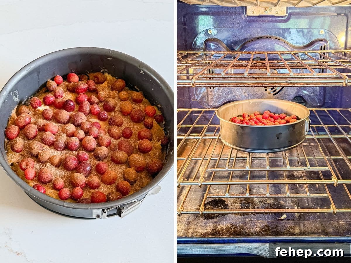 Moist Orange Cranberry Cake Recipe with Zesty Glaze 8 Cinnamon sugar sprinkled onto the cranberries and batter and then the cake pan in the oven.