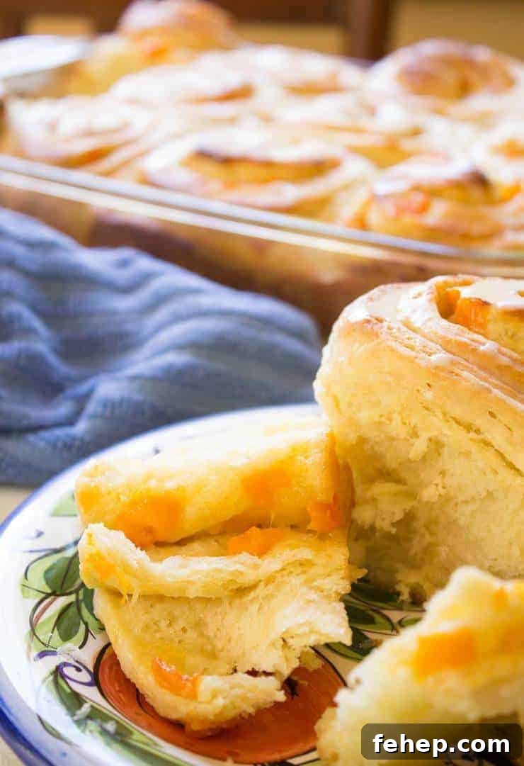 Apricot Sweet Rolls Recipe: Soft, Sticky Fruit-Glazed Buns 3 Sweet rolls filled with apricots on a plate.