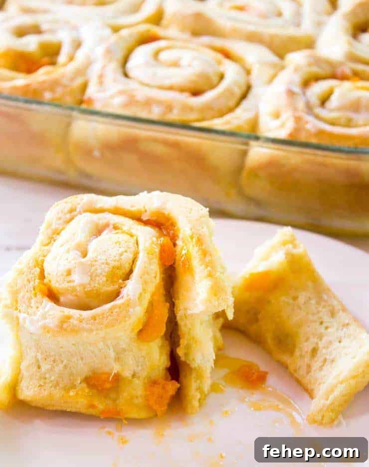Apricot Sweet Rolls Recipe: Soft, Sticky Fruit-Glazed Buns 5 A sweet roll filled with apricots on a white plate.