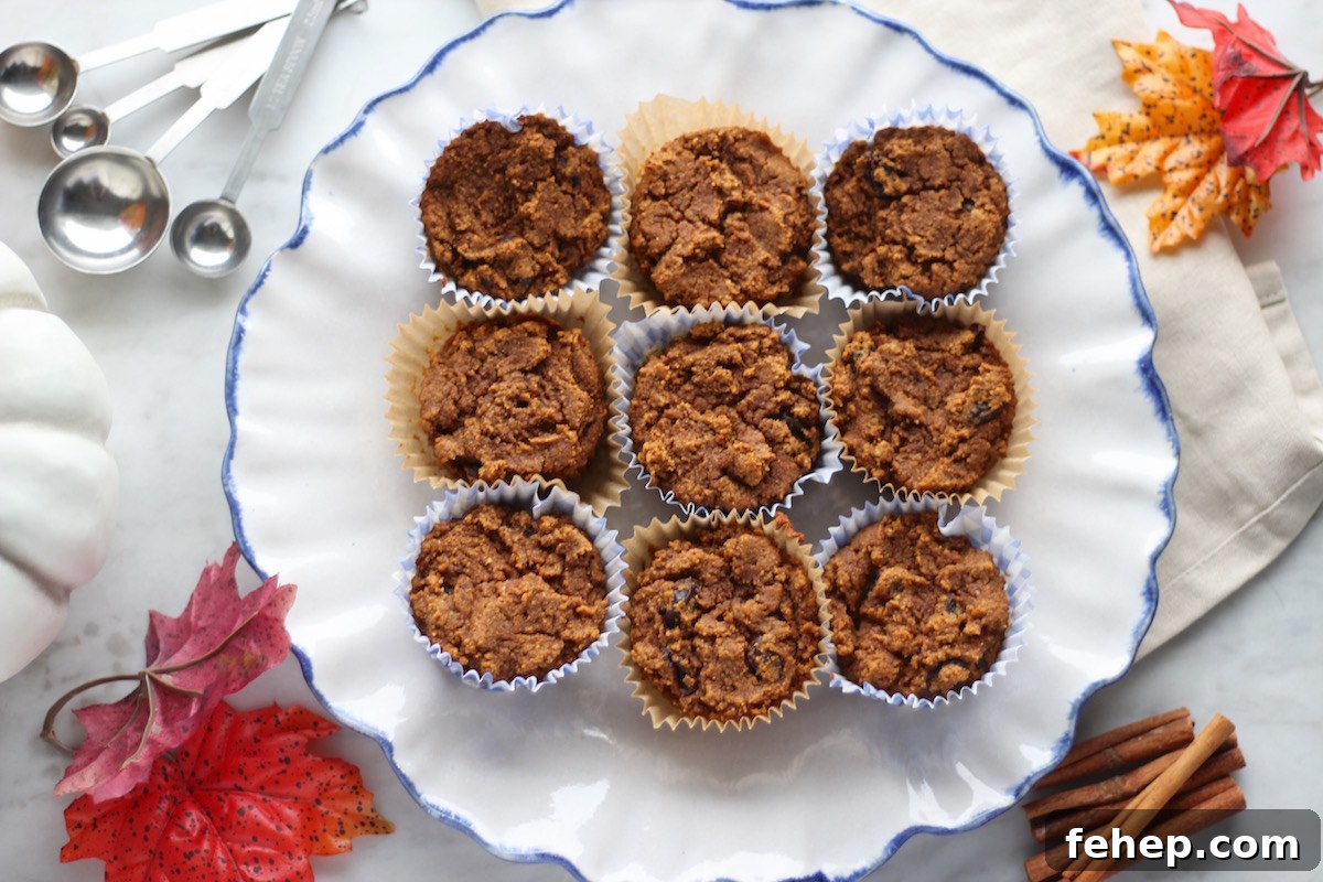 Paleo Pumpkin Spice Muffins (AIP) - healthy, delicious pumpkin muffins are packed with Fall flavors! | fedandfulfilled.com
