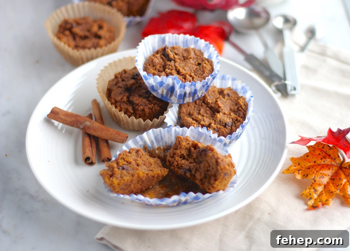 Paleo Pumpkin Spice Muffins (AIP) - an easy, allergy-friendly muffin recipe that is full of Fall spices, pumpkin, and raisins! YUM! | fedandfulfilled.com