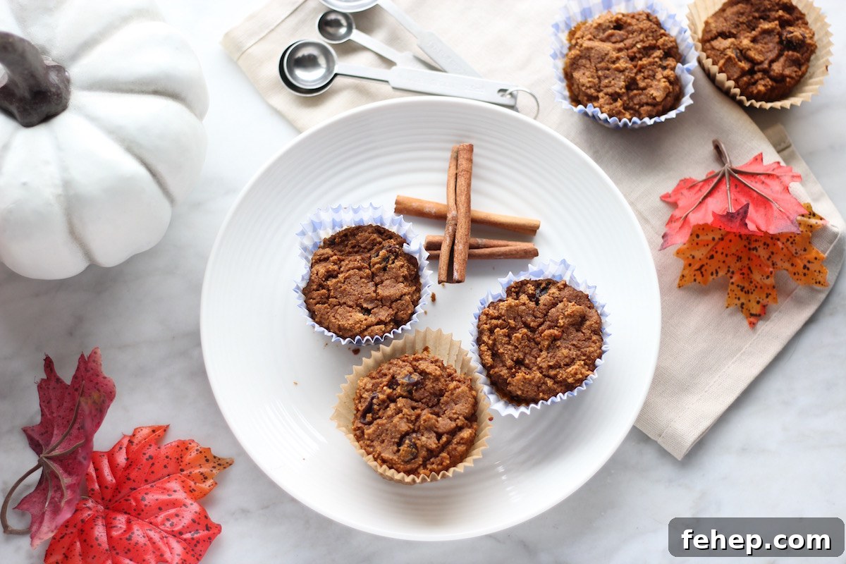 AIP Pumpkin Spice Muffins — Paleo Grain-Free Recipe 7 Paleo Pumpkin Spice Muffins (AIP) - soft, lightly sweet pumpkin muffins are allergy-friendly and a perfect Fall treat! | fedandfulfilled.com