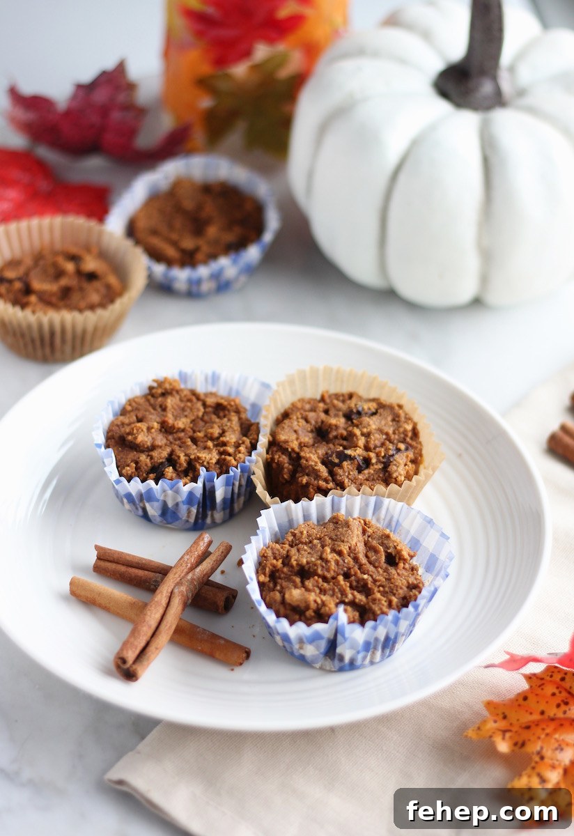 AIP Pumpkin Spice Muffins — Paleo Grain-Free Recipe 9 Paleo Pumpkin Spice Muffins (AIP) - delicious, healthy muffins for breakfast, brunch, or dessert! | fedandfulfilled.com