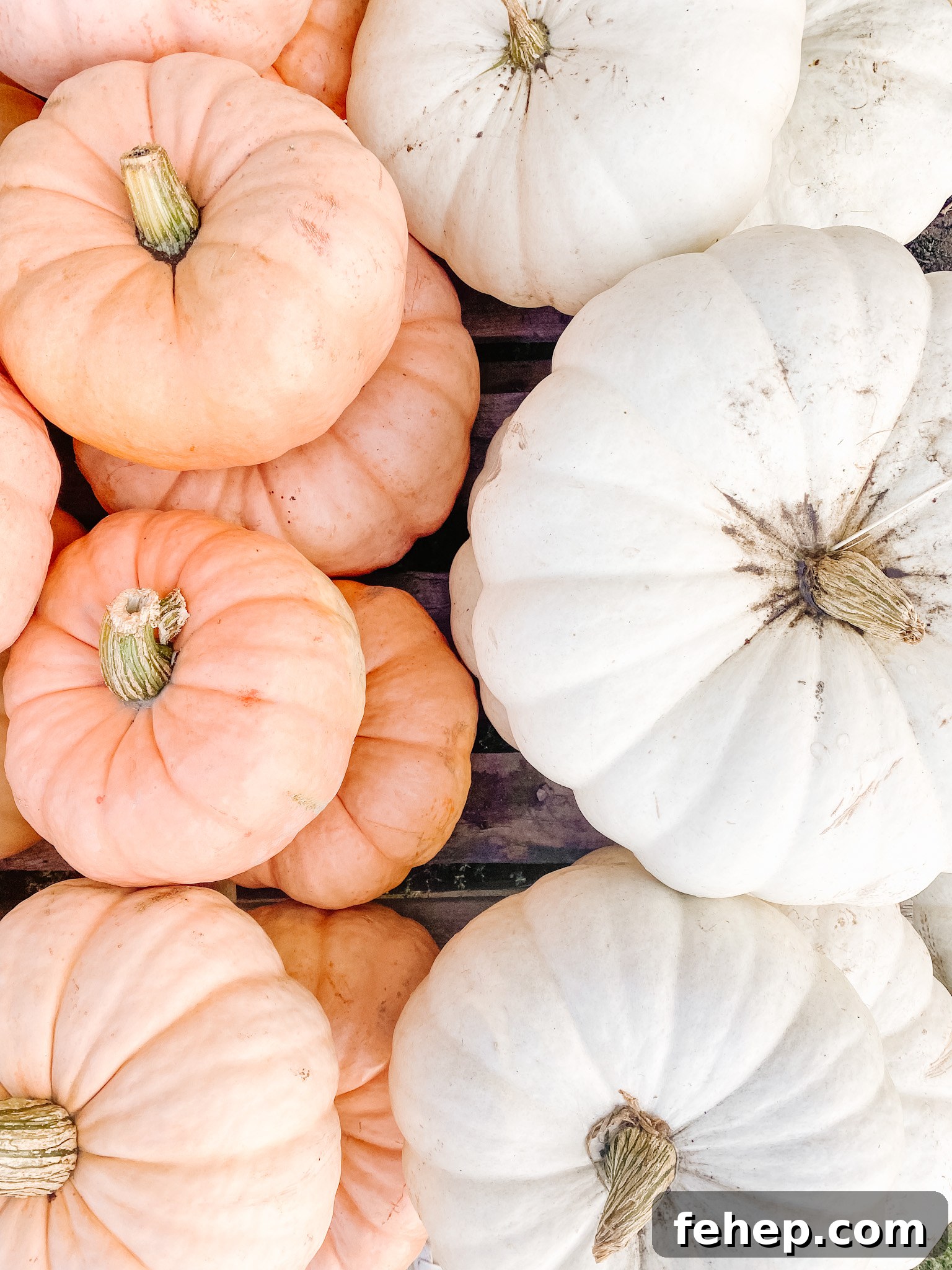 Pumpkins