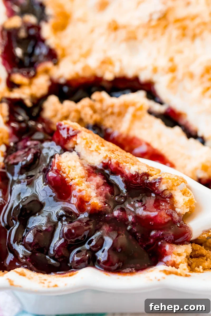 blueberry cobbler in a baking dish with a spoon scooping some out.