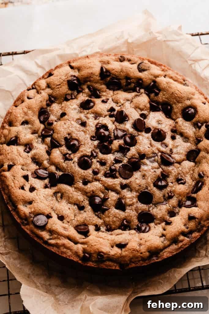 The baked chocolate chip cookie cake, cooling on a wire rack.