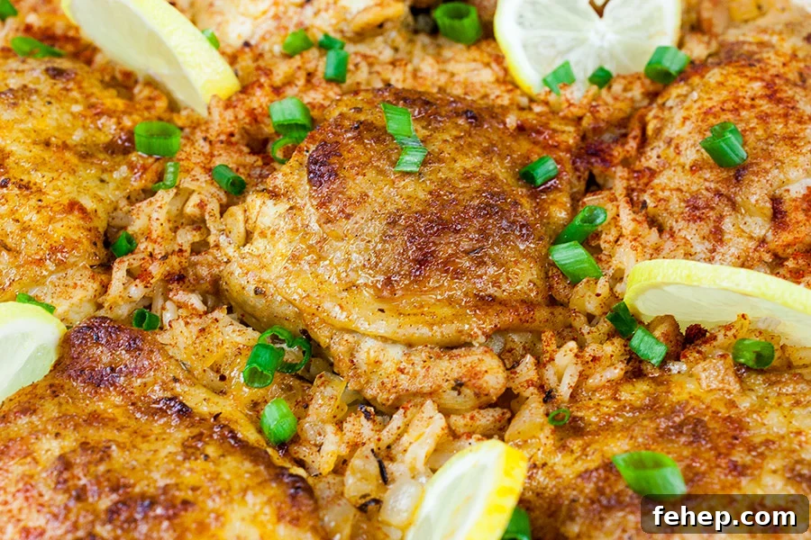 Spanish-Style Pork Chops with Garlic Tomato Rice 11 One Pan Spanish Chicken and Rice with a green onion garnish.